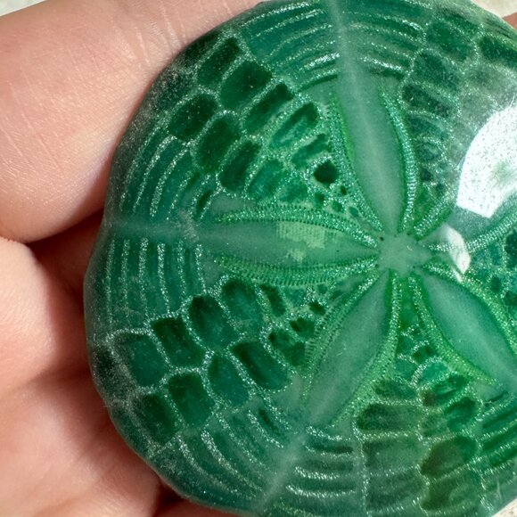 Resin Coated Sand Dollar Pin Brooch - Picture 7 of 8
